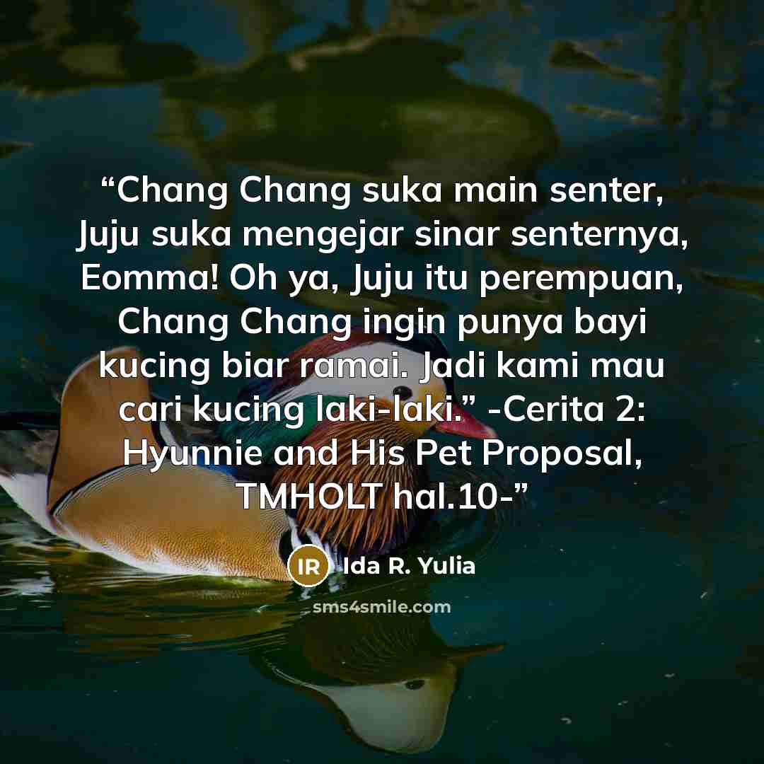 “Chang Chang suka main senter, Juju suka mengejar sinar senternya, Eomma! Oh ya, Juju itu perempuan, Chang Chang ingin punya bayi kucing biar ramai. Jadi kami mau cari kucing laki-laki.” -Cerita 2: Hyunnie and His Pet Proposal, TMHOLT hal.10-” quote by Ida R. Yulia