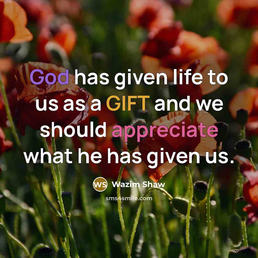 “God has given life to us as a GIFT and we should appreciate what he has given us.” quote by Wazim Shaw