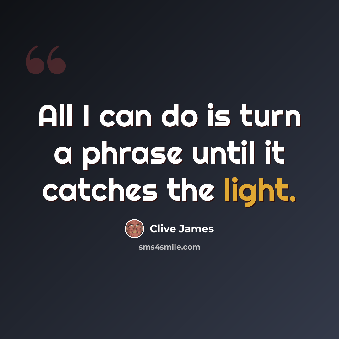 “All I can do is turn a phrase until it catches the light.” quote by Clive James