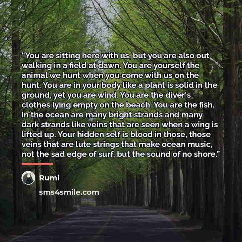 “You are sitting here with us, but you are also out walking in a field at dawn. You are yourself the animal we hunt when you come with us on the hunt. You are in your body like a plant is solid in the ground, yet you are wind. You are the diver's clothes lying empty on the beach. You are the fish…” quote by Rumi