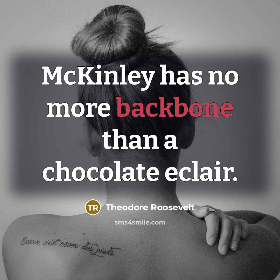 “McKinley has no more backbone than a chocolate eclair.” quote by Theodore Roosevelt