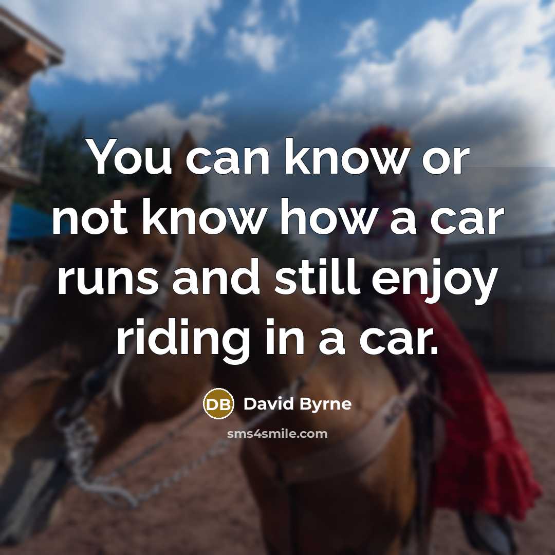 “You can know or not know how a car runs and still enjoy riding in a car.” quote by David Byrne