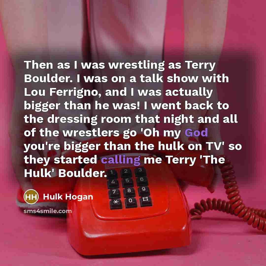 “Then as I was wrestling as Terry Boulder. I was on a talk show with Lou Ferrigno, and I was actually bigger than he was! I went back to the dressing room that night and all of the wrestlers go 'Oh my God you're bigger than the hulk on TV' so they started calling me Terry 'The Hulk' Boulder.” quote by Hulk Hogan
