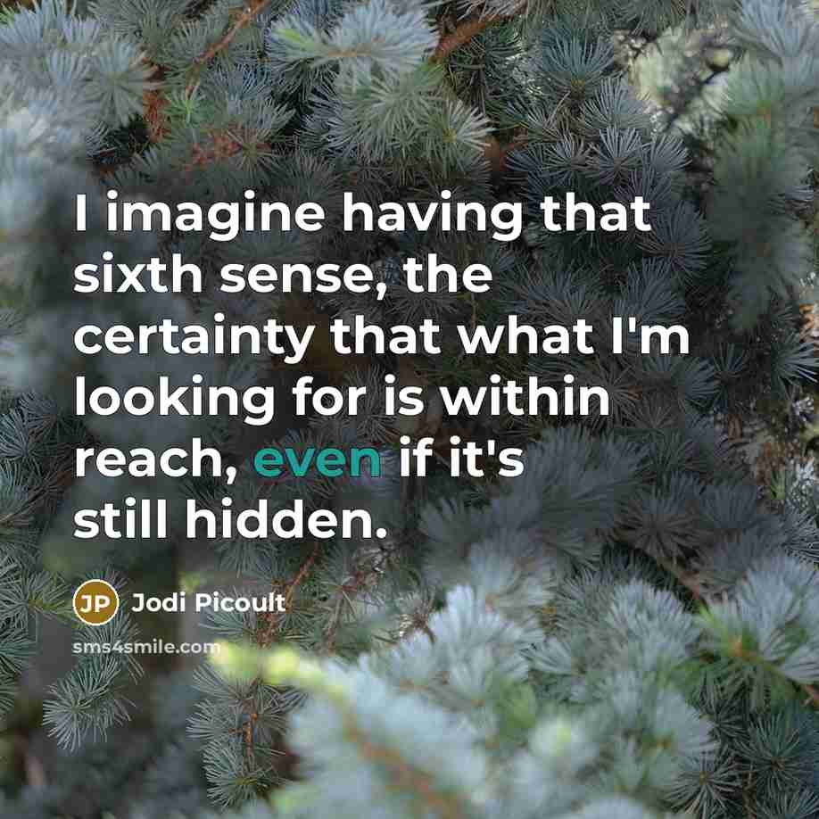 “I imagine having that sixth sense, the certainty that what I'm looking for is within reach, even if it's still hidden.” quote by Jodi Picoult