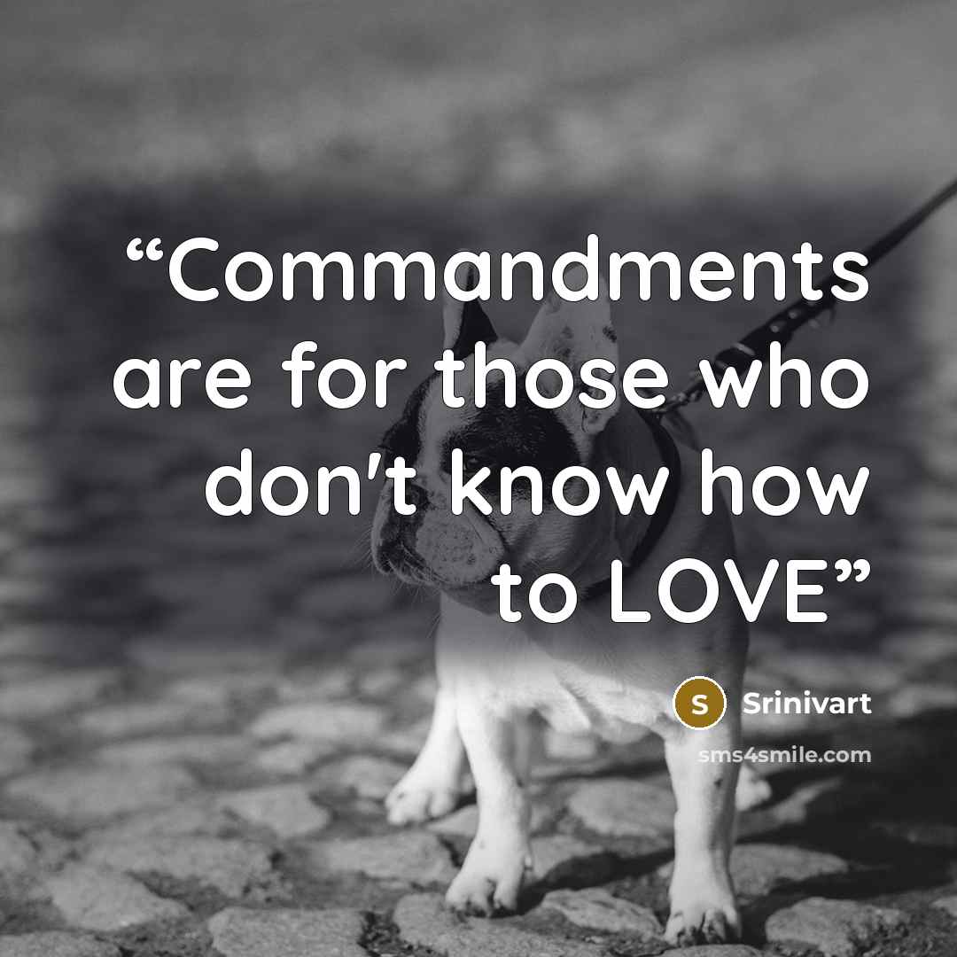 “Commandments are for those who don't know how to LOVE” quote by Srinivart