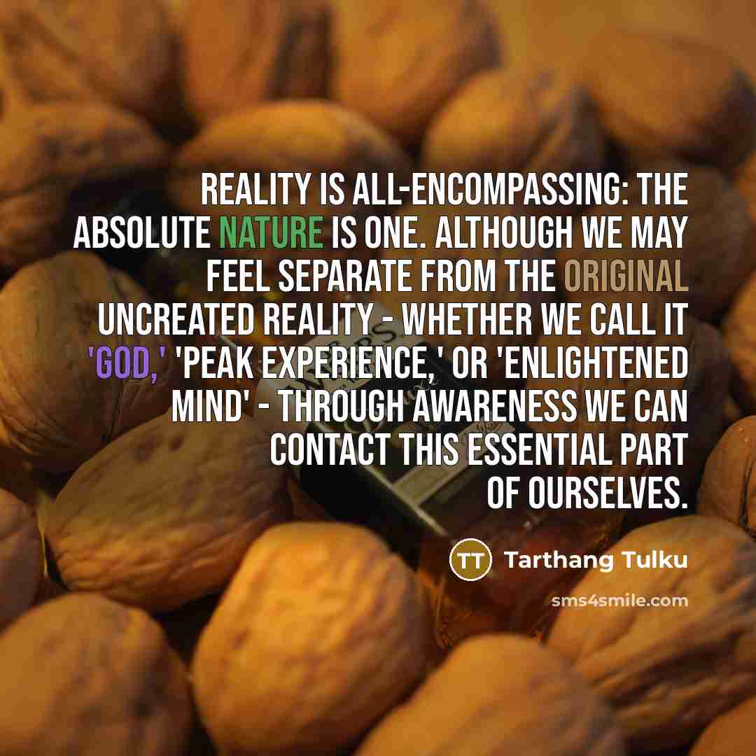 “Reality is all-encompassing: the absolute nature is one. Although we may feel separate from the original uncreated reality - whether we call it 'God,' 'peak experience,' or 'enlightened mind' - through awareness we can contact this essential part of ourselves.” quote by Tarthang Tulku