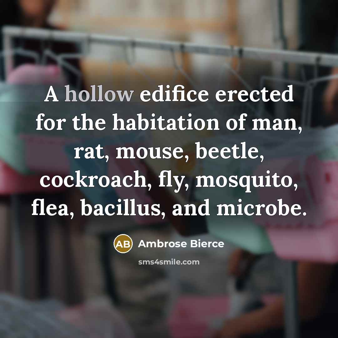 “A hollow edifice erected for the habitation of man, rat, mouse, beetle, cockroach, fly, mosquito, flea, bacillus, and microbe.” quote by Ambrose Bierce