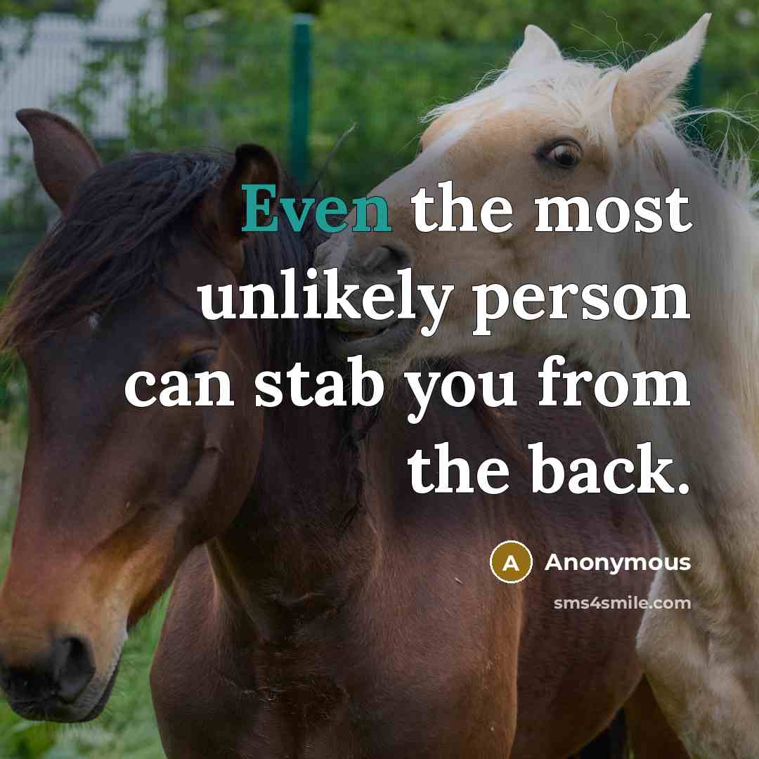 “Even the most unlikely person can stab you from the back.” quote by Anonymous