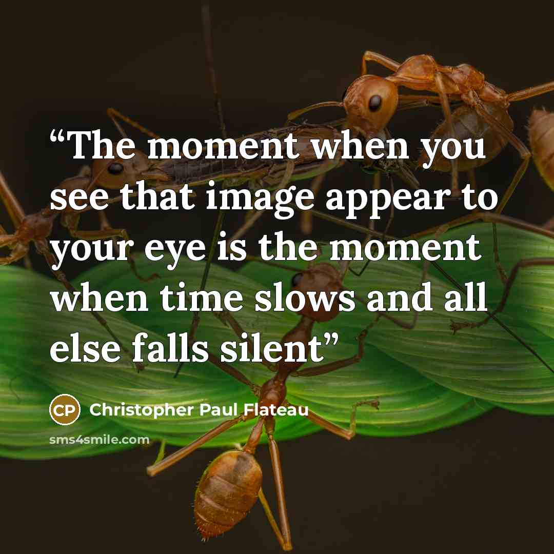 “The moment when you see that image appear to your eye is the moment when time slows and all else falls silent” quote by Christopher Paul Flateau