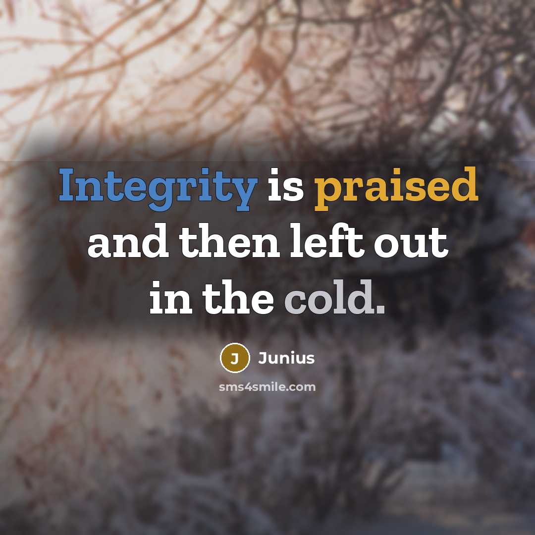 “Integrity is praised and then left out in the cold.” quote by Junius
