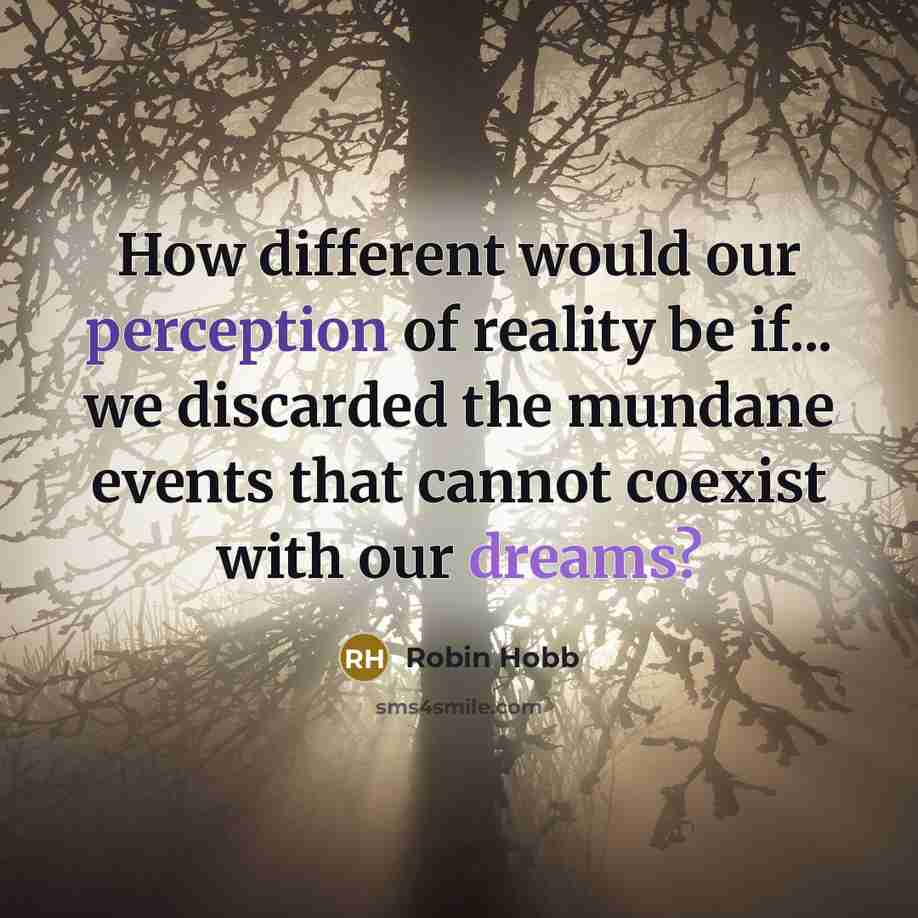 “How different would our perception of reality be if... we discarded the mundane events that cannot coexist with our dreams?” quote by Robin Hobb