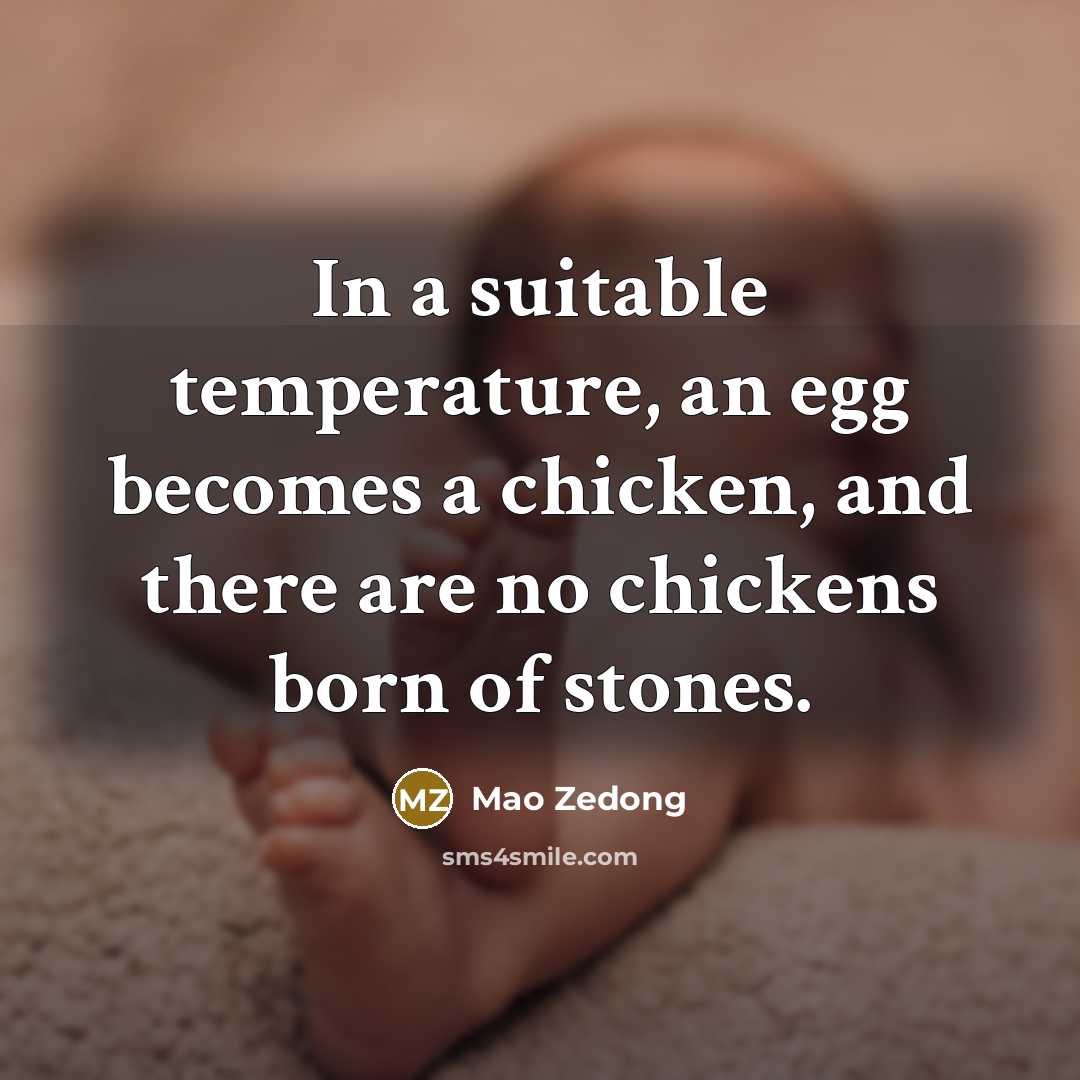 “In a suitable temperature, an egg becomes a chicken, and there are no chickens born of stones.” quote by Mao Zedong