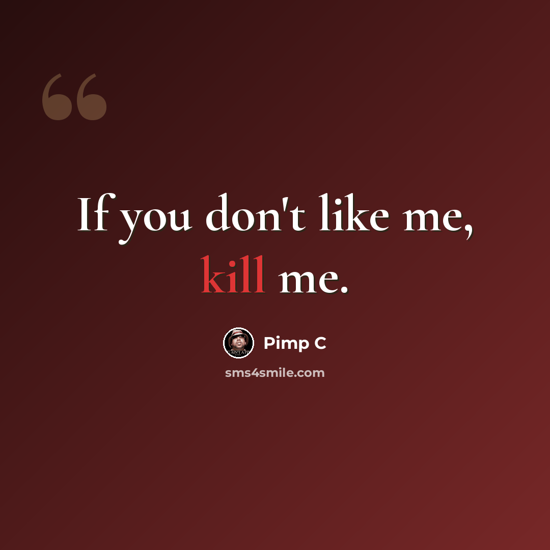 “If you don't like me, kill me.” quote by Pimp C