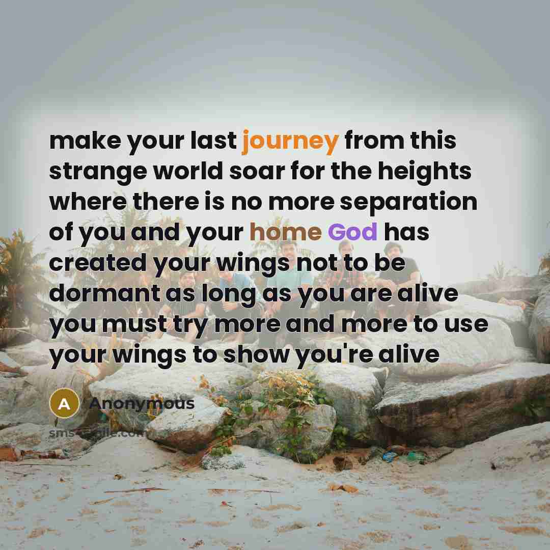 “make your last journey from this strange world soar for the heights where there is no more separation of you and your home God has created your wings not to be dormant as long as you are alive you must try more and more to use your wings to show you're alive” quote by Anonymous