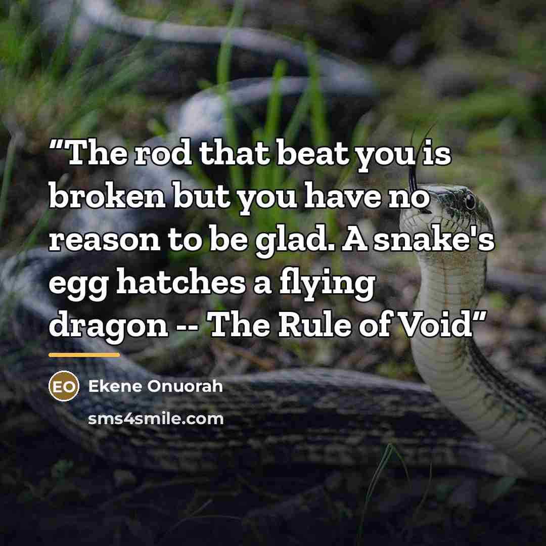“The rod that beat you is broken but you have no reason to be glad. A snake's egg hatches a flying dragon -- The Rule of Void” quote by Ekene Onuorah