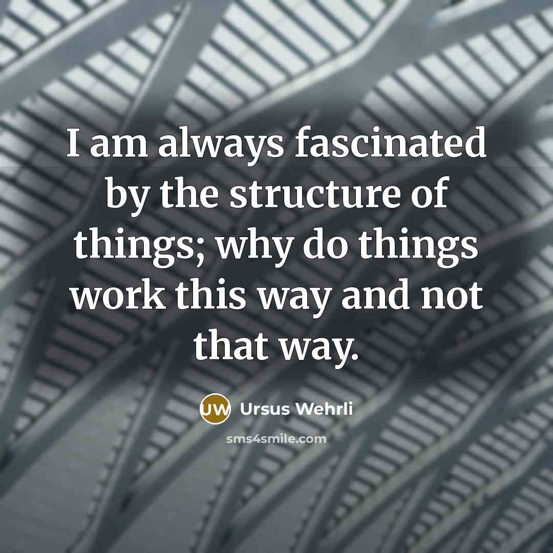 “I am always fascinated by the structure of things; why do things work this way and not that way.” quote by Ursus Wehrli