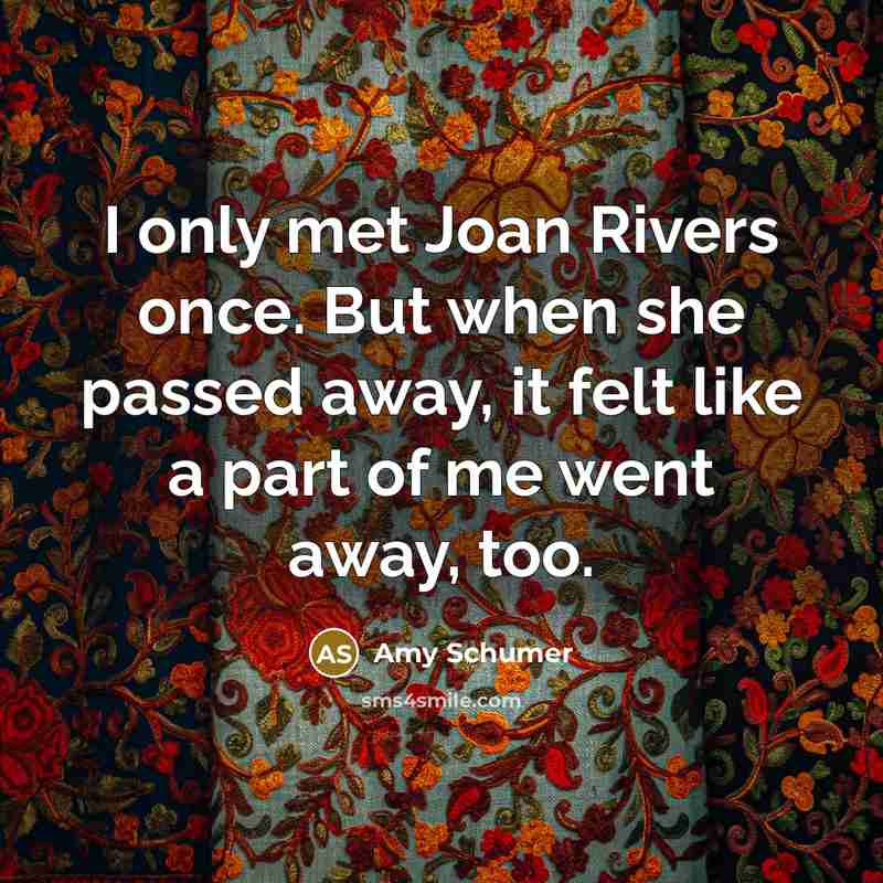 “I only met Joan Rivers once. But when she passed away, it felt like a part of me went away, too.” quote by Amy Schumer
