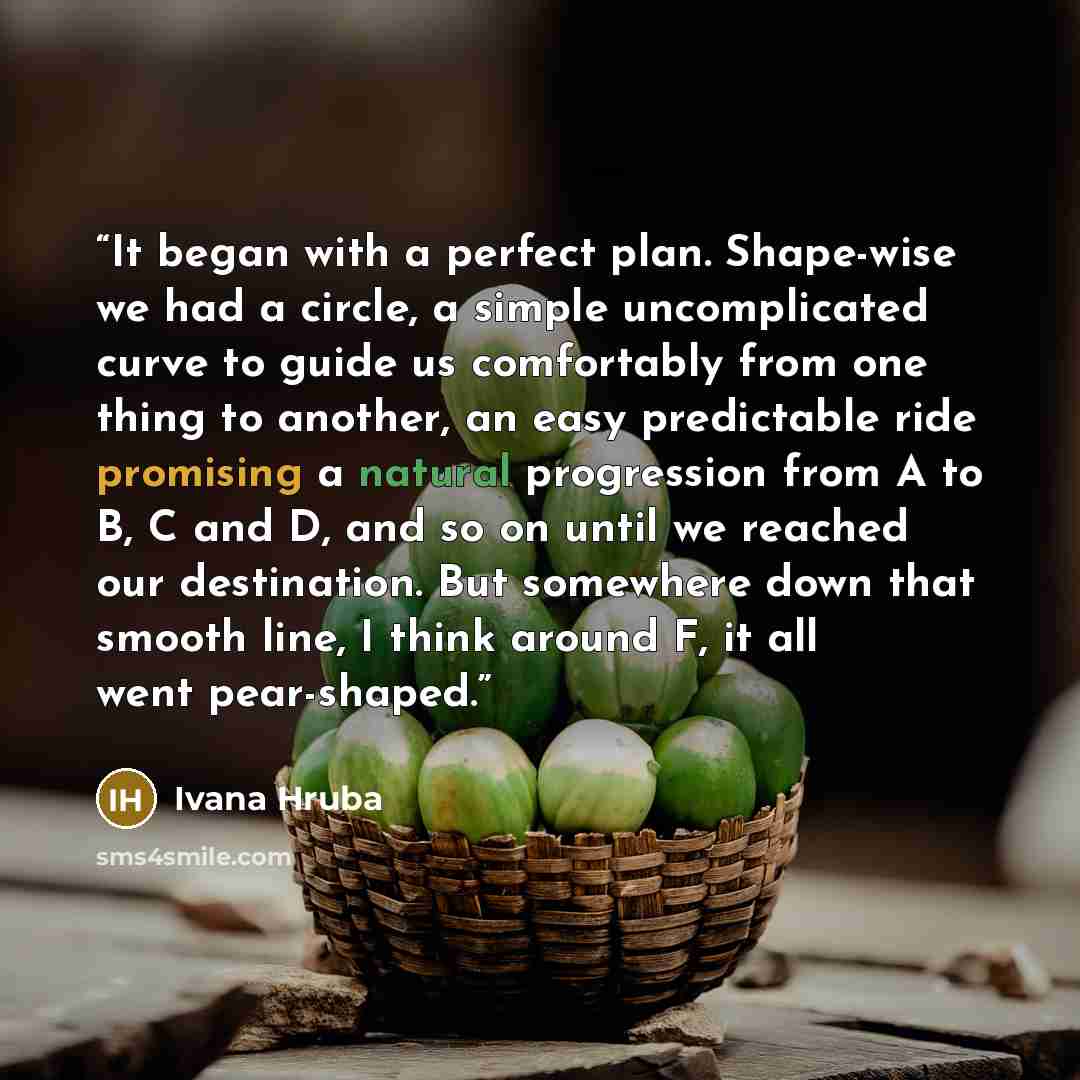 “It began with a perfect plan. Shape-wise we had a circle, a simple uncomplicated curve to guide us comfortably from one thing to another, an easy predictable ride promising a natural progression from A to B, C and D, and so on until we reached our destination. But somewhere down that smooth line…” quote by Ivana Hruba