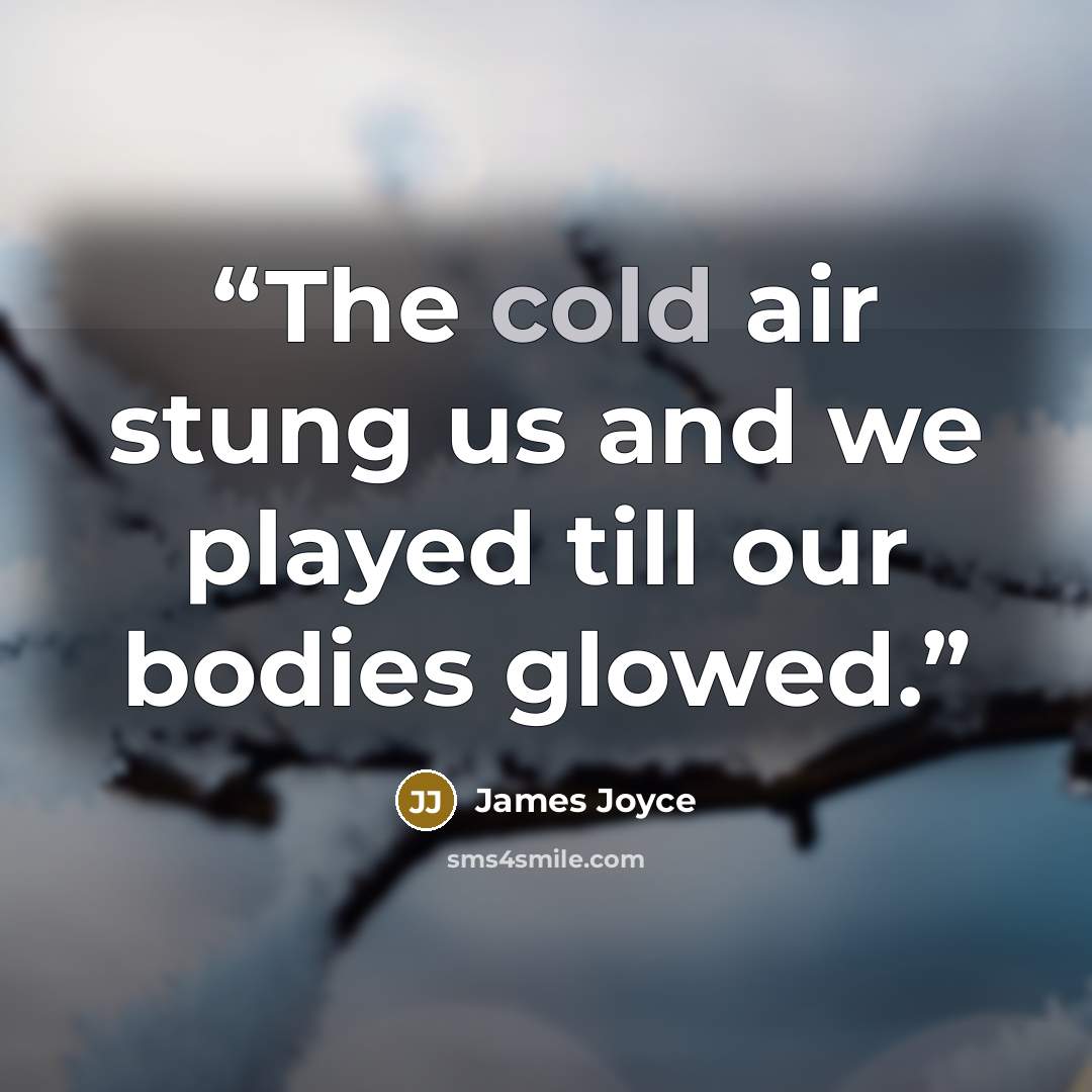 “The cold air stung us and we played till our bodies glowed.” quote by James Joyce