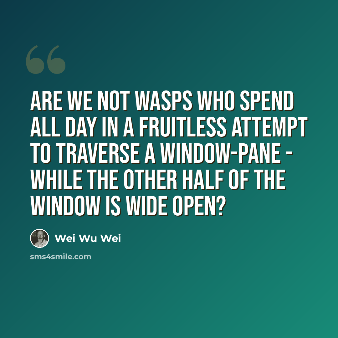 “Are we not wasps who spend all day in a fruitless attempt to traverse a window-pane - while the other half of the window is wide open?” quote by Wei Wu Wei