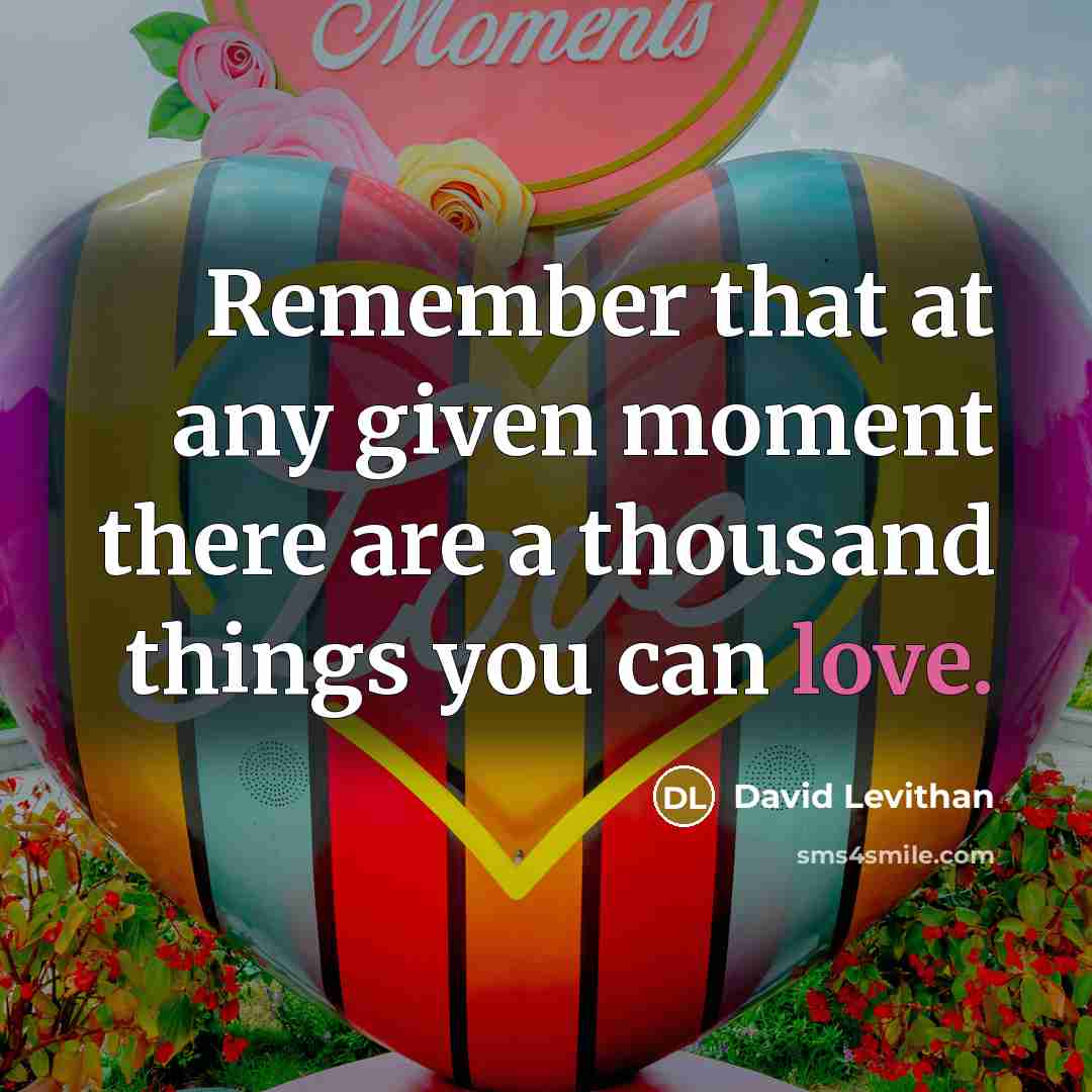 “Remember that at any given moment there are a thousand things you can love.” quote by David Levithan