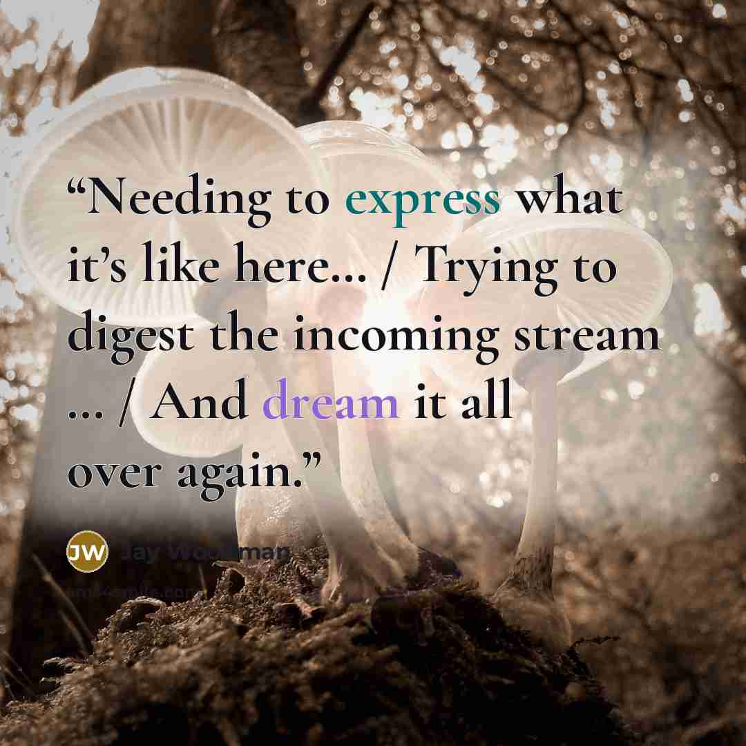 “Needing to express what it’s like here… / Trying to digest the incoming stream … / And dream it all over again.” quote by Jay Woodman