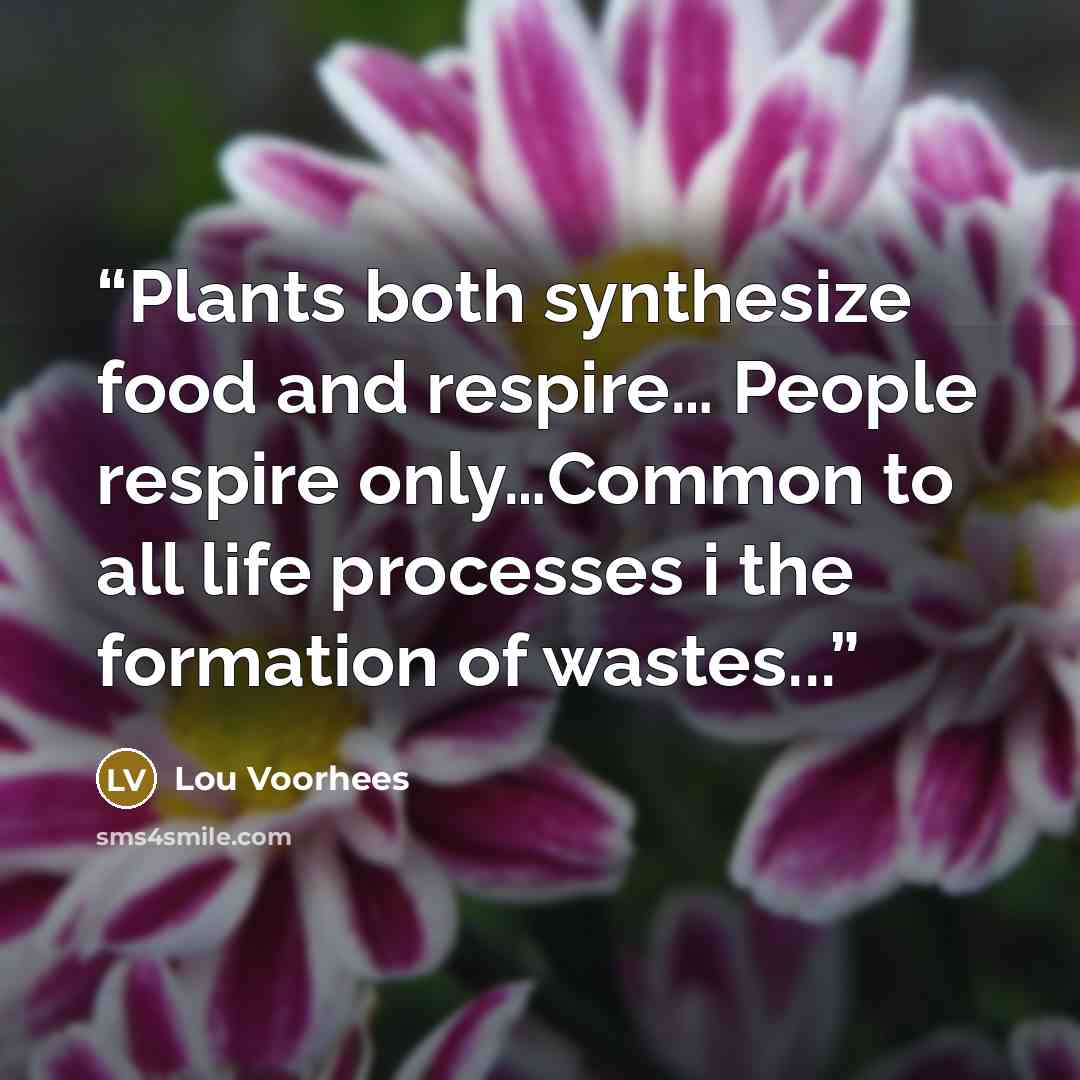 “Plants both synthesize food and respire… People respire only…Common to all life processes i the formation of wastes...” quote by Lou Voorhees