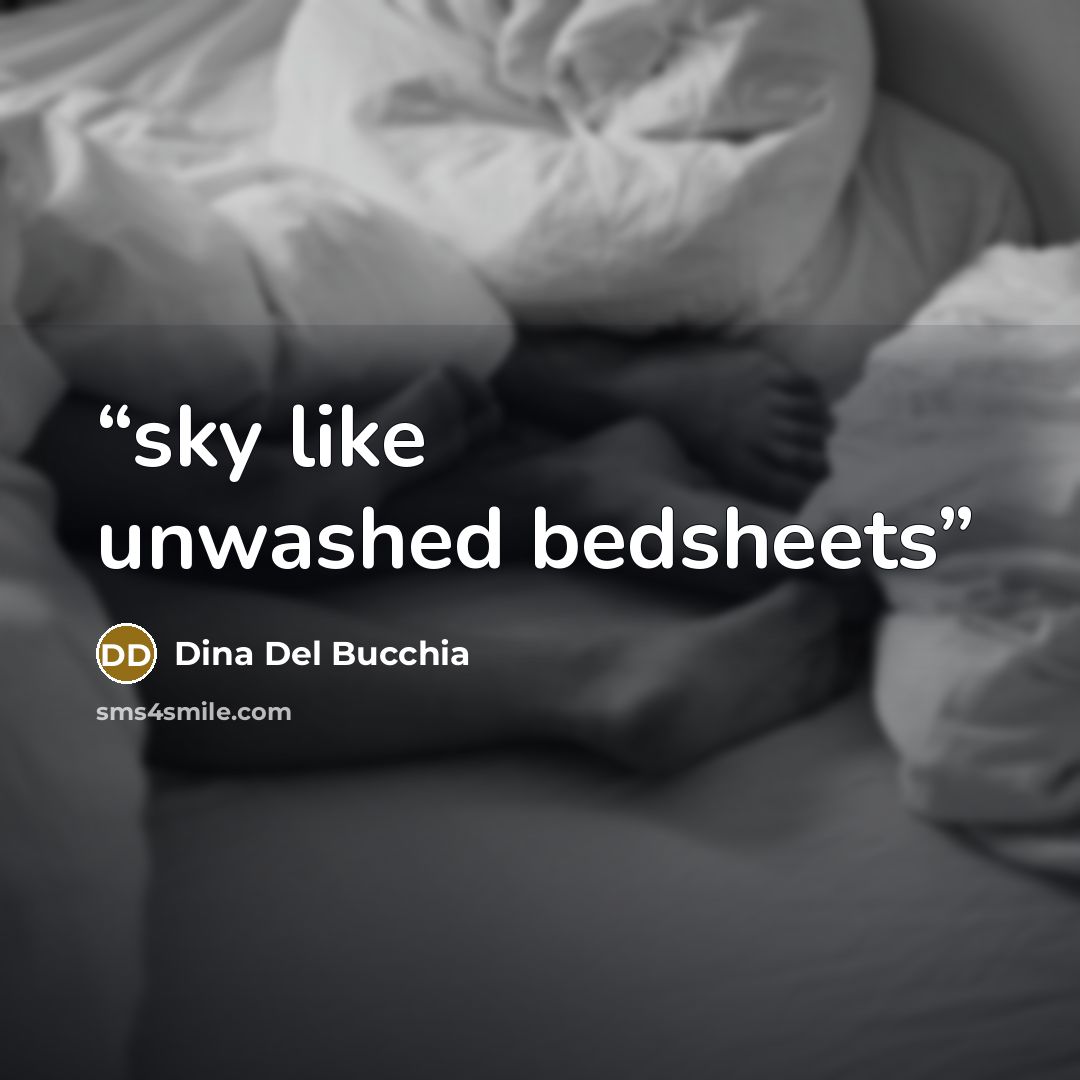 “sky like unwashed bedsheets” quote by Dina Del Bucchia