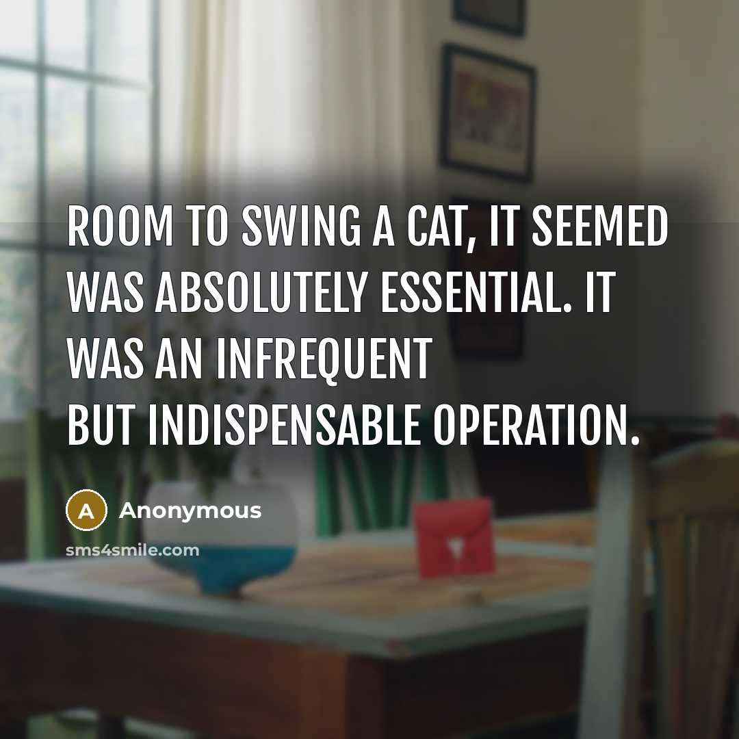 “Room to swing a cat, it seemed was absolutely essential. It was an infrequent but indispensable operation.” quote by Anonymous