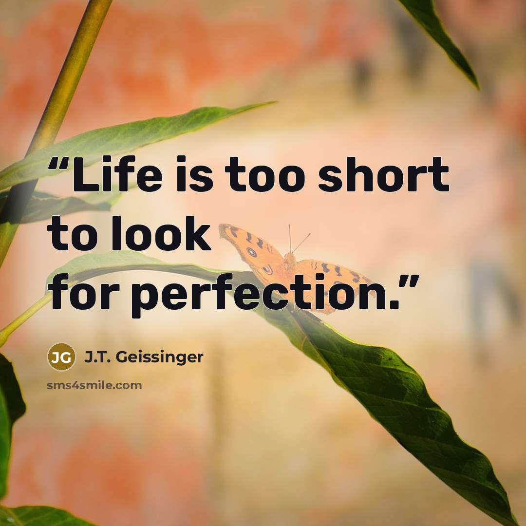 “Life is too short to look for perfection.” quote by J.T. Geissinger