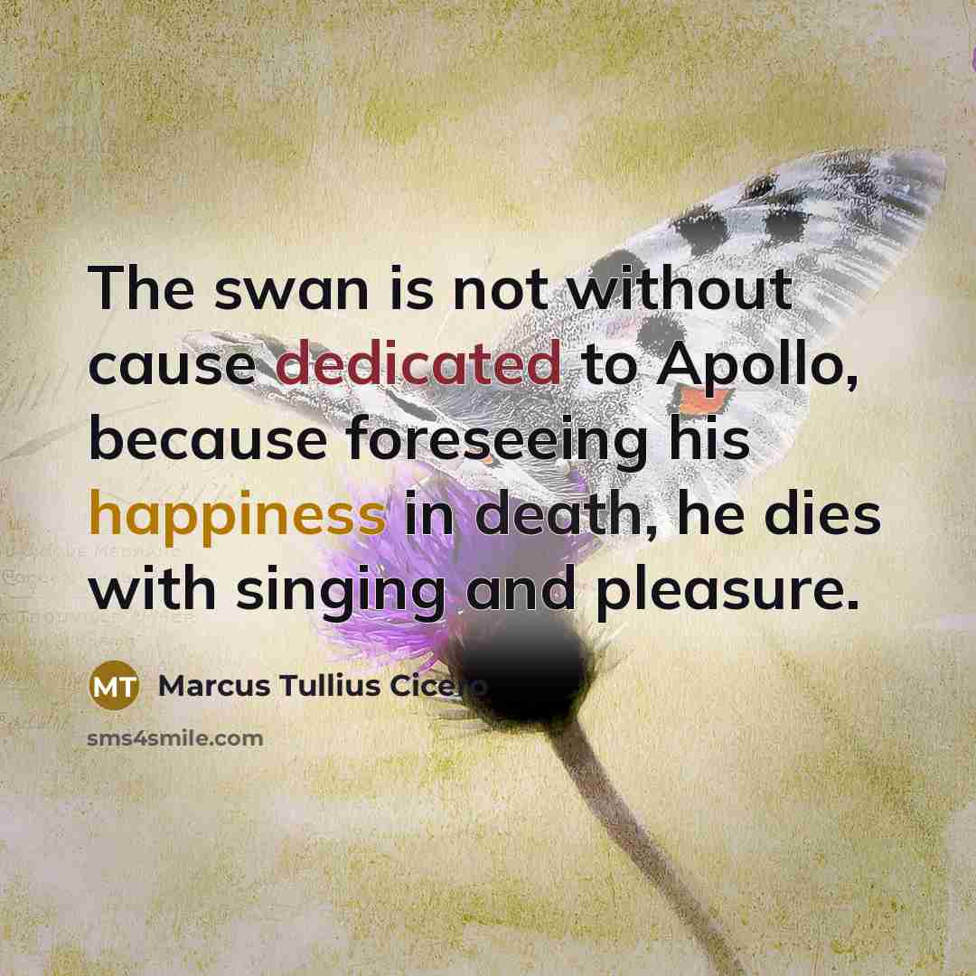“The swan is not without cause dedicated to Apollo, because foreseeing his happiness in death, he dies with singing and pleasure.” quote by Marcus Tullius Cicero