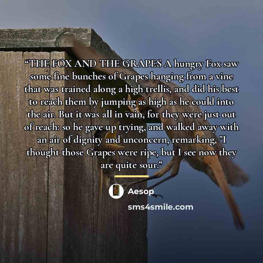 “THE FOX AND THE GRAPES A hungry Fox saw some fine bunches of Grapes hanging from a vine that was trained along a high trellis, and did his best to reach them by jumping as high as he could into the air. But it was all in vain, for they were just out of reach: so he gave up trying, and walked away…” quote by Aesop