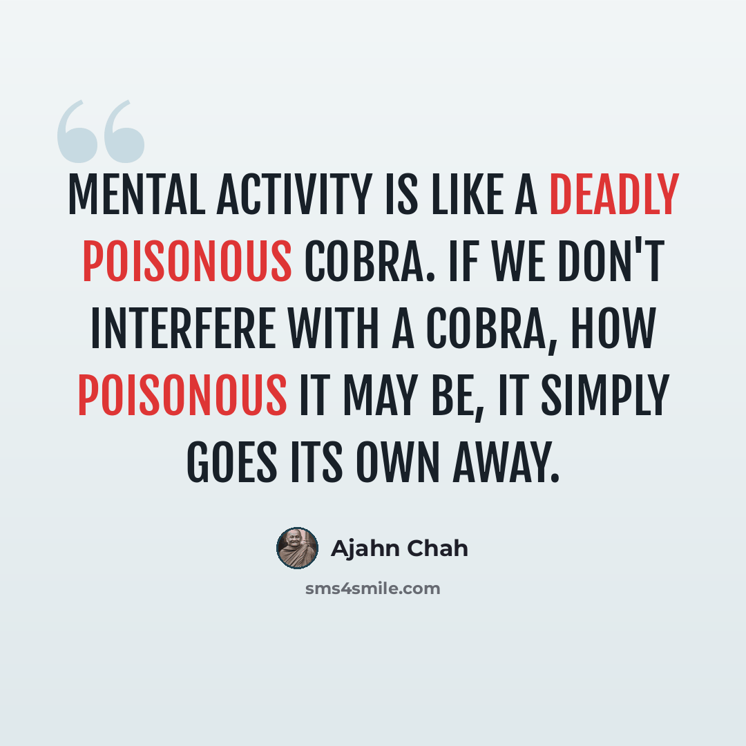 “Mental activity is like a deadly poisonous cobra. If we don't interfere with a cobra, how poisonous it may be, it simply goes its own away.” quote by Ajahn Chah