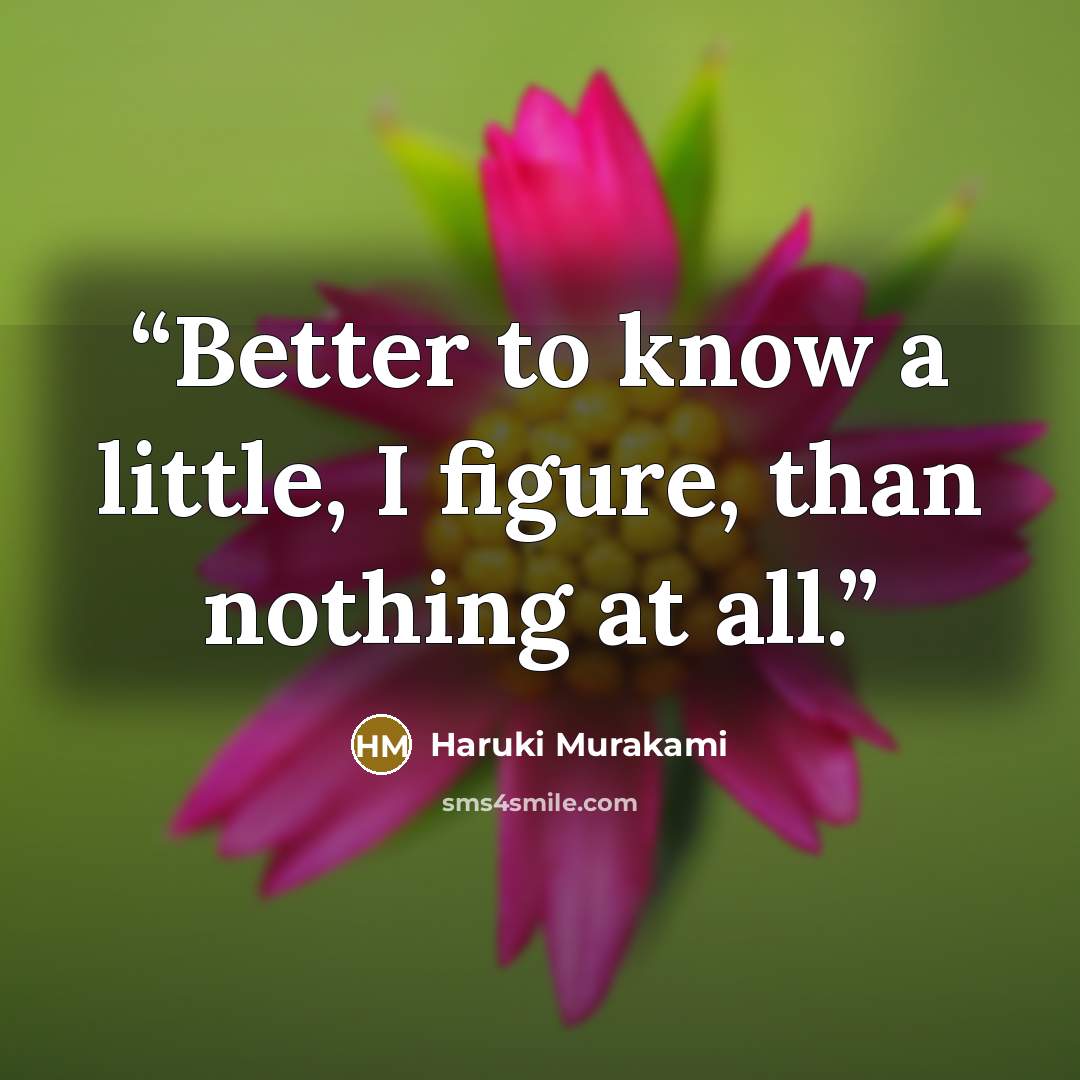“Better to know a little, I figure, than nothing at all.” quote by Haruki Murakami