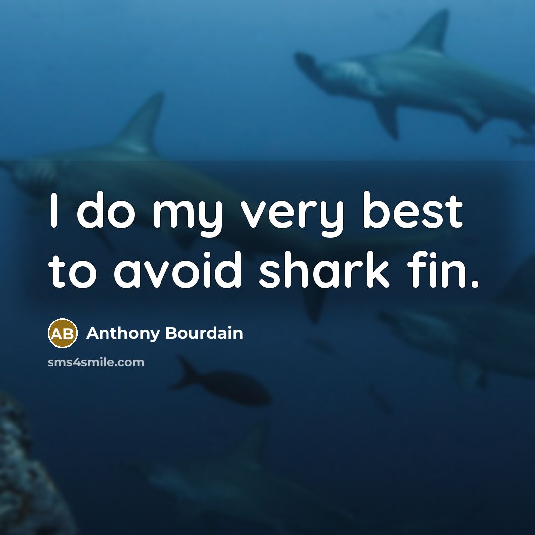 “I do my very best to avoid shark fin.” quote by Anthony Bourdain