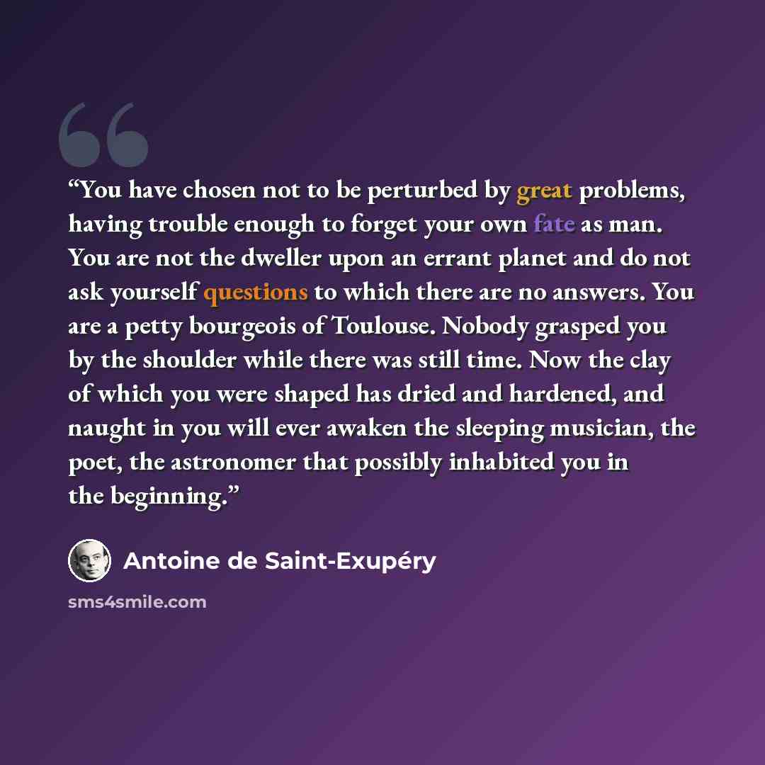 “You have chosen not to be perturbed by great problems, having trouble enough to forget your own fate as man. You are not the dweller upon an errant planet and do not ask yourself questions to which there are no answers. You are a petty bourgeois of Toulouse. Nobody grasped you by the shoulder…” quote by Antoine de Saint-Exupéry