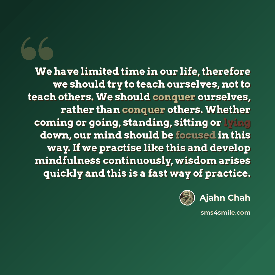 “We have limited time in our life, therefore we should try to teach ourselves, not to teach others. We should conquer ourselves, rather than conquer others. Whether coming or going, standing, sitting or lying down, our mind should be focused in this way. If we practise like this and develop…” quote by Ajahn Chah