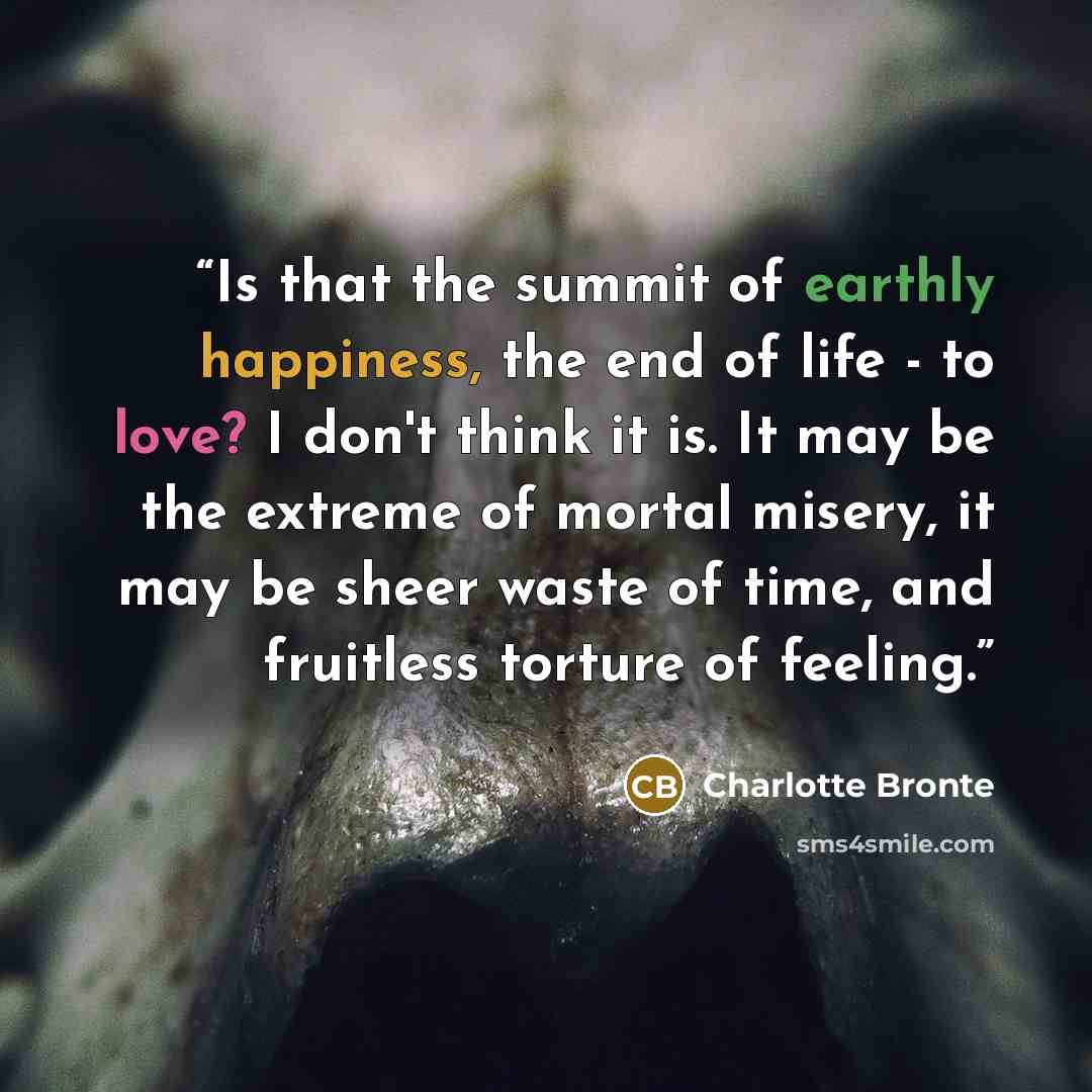 “Is that the summit of earthly happiness, the end of life - to love? I don't think it is. It may be the extreme of mortal misery, it may be sheer waste of time, and fruitless torture of feeling.” quote by Charlotte Brontë