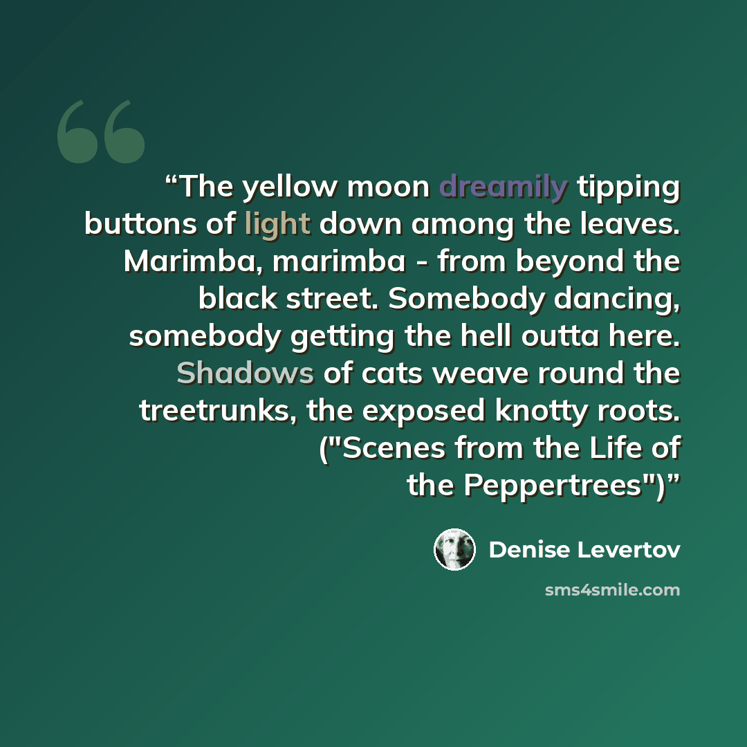 “The yellow moon dreamily tipping buttons of light down among the leaves. Marimba, marimba - from beyond the black street. Somebody dancing, somebody getting the hell outta here. Shadows of cats weave round the treetrunks, the exposed knotty roots. ("Scenes from the Life of the Peppertrees")” quote by Denise Levertov