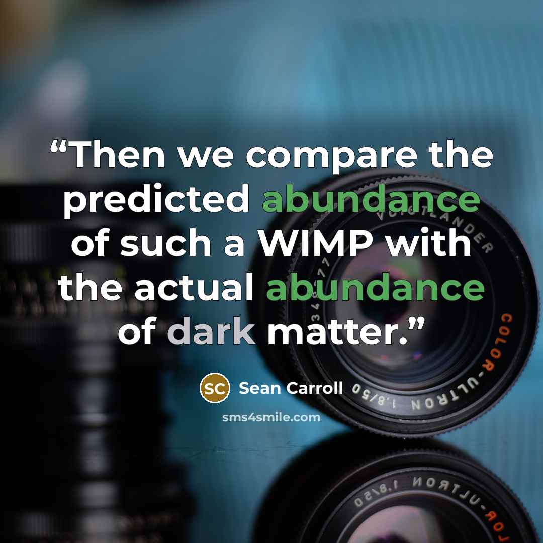 “Then we compare the predicted abundance of such a WIMP with the actual abundance of dark matter.” quote by Sean Carroll