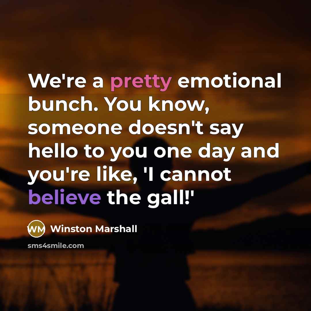 “We're a pretty emotional bunch. You know, someone doesn't say hello to you one day and you're like, 'I cannot believe the gall!'” quote by Winston Marshall
