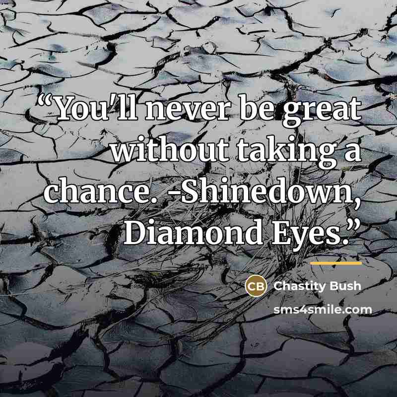 “You'll never be great without taking a chance. -Shinedown, Diamond Eyes.” quote by Chastity Bush