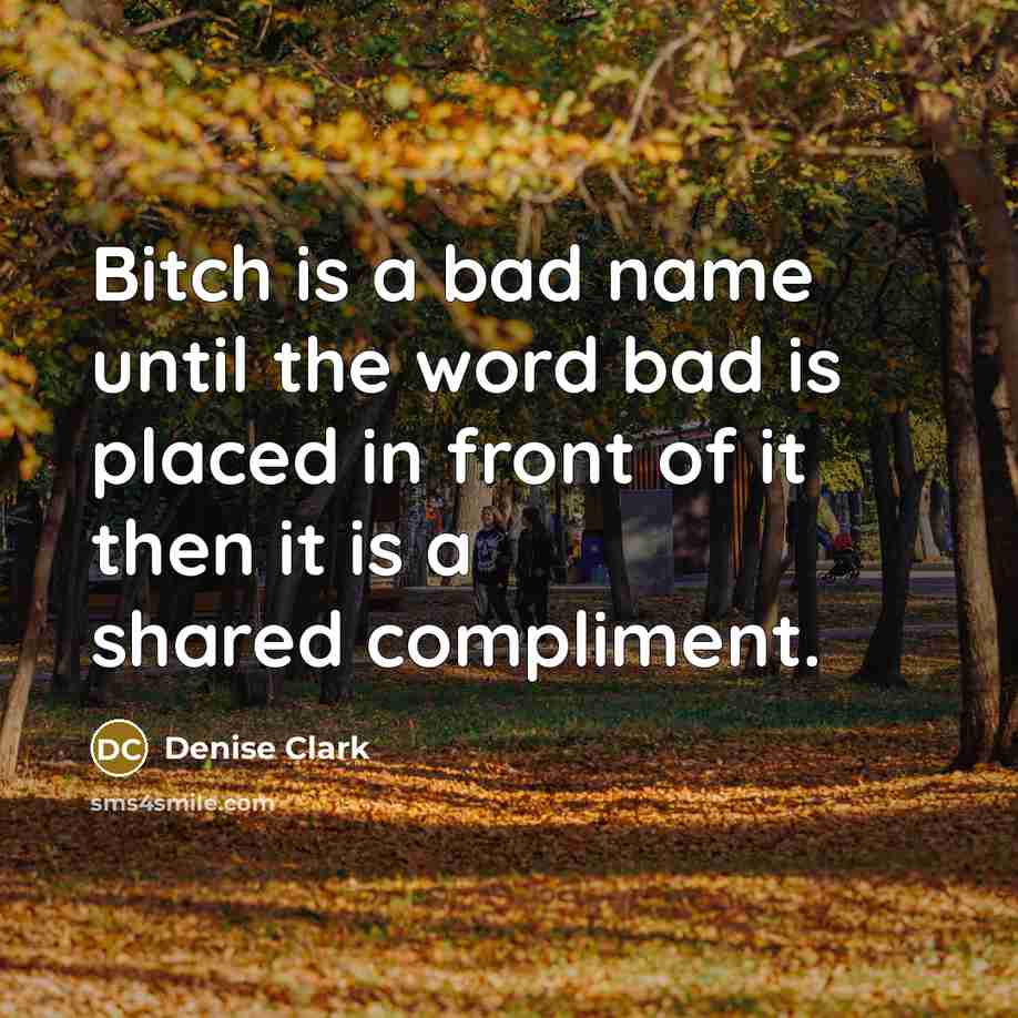 “Bitch is a bad name until the word bad is placed in front of it then it is a shared compliment.” quote by Denise Clark