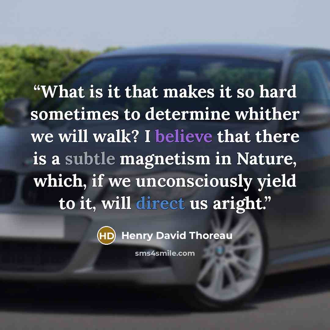 “What is it that makes it so hard sometimes to determine whither we will walk? I believe that there is a subtle magnetism in Nature, which, if we unconsciously yield to it, will direct us aright.” quote by Henry David Thoreau
