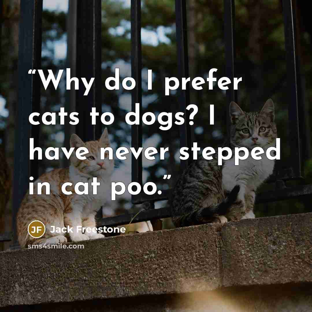 “Why do I prefer cats to dogs? I have never stepped in cat poo.” quote by Jack Freestone