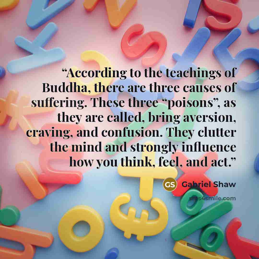 “According to the teachings of Buddha, there are three causes of suffering. These three “poisons”, as they are called, bring aversion, craving, and confusion. They clutter the mind and strongly influence how you think, feel, and act.” quote by Gabriel Shaw