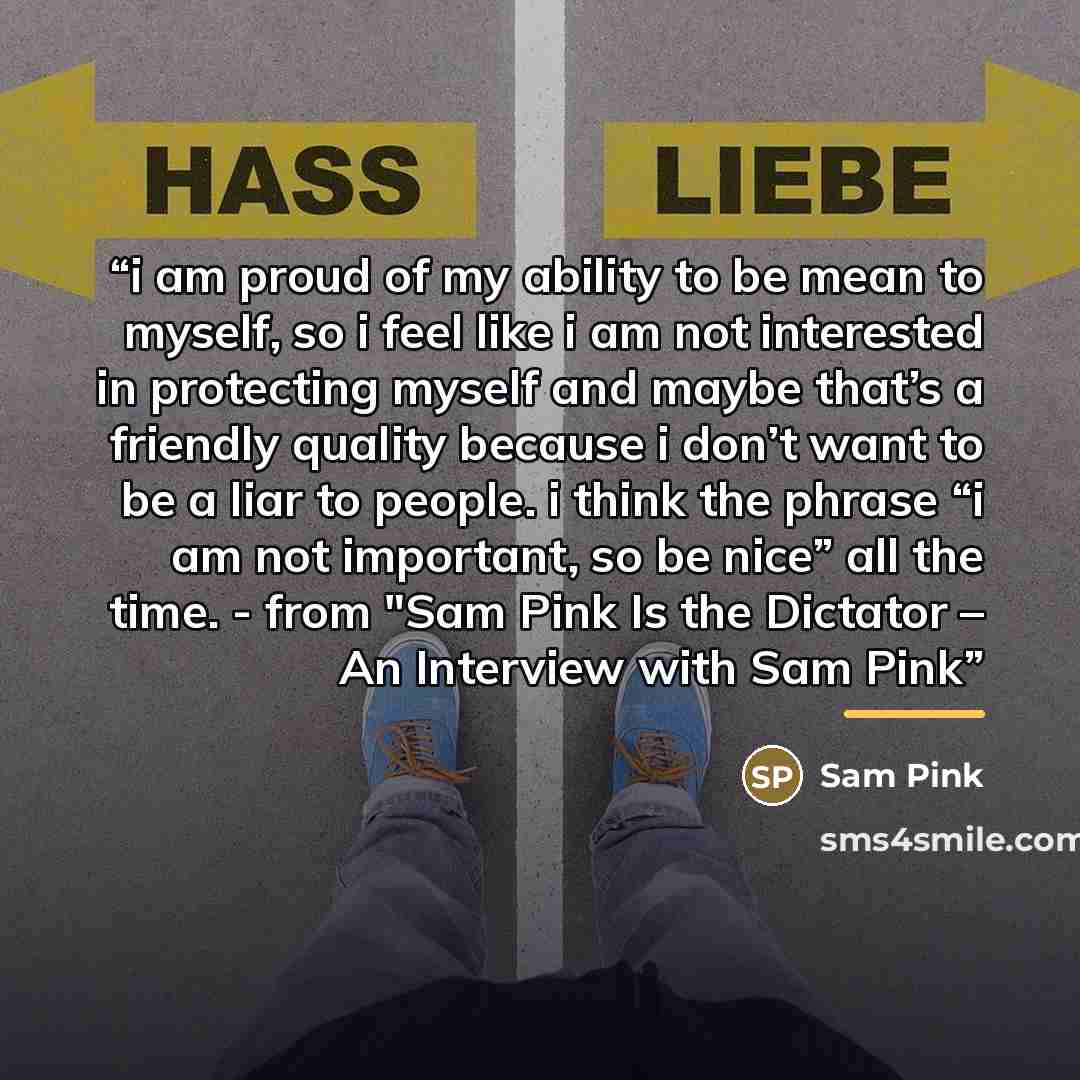 “i am proud of my ability to be mean to myself, so i feel like i am not interested in protecting myself and maybe that’s a friendly quality because i don’t want to be a liar to people. i think the phrase “i am not important, so be nice” all the time. - from "Sam Pink Is the Dictator – An Interview…” quote by Sam Pink