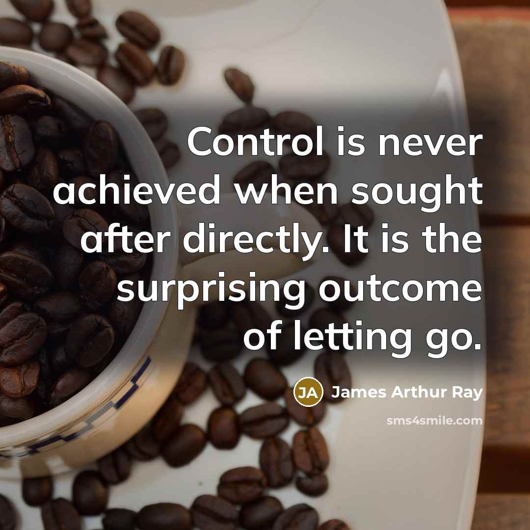 “Control is never achieved when sought after directly. It is the surprising outcome of letting go.” quote by James Arthur Ray