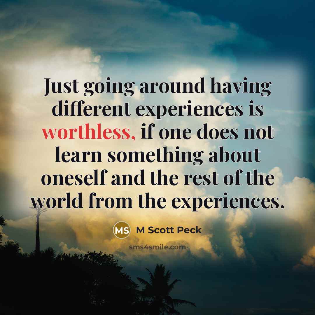 “Just going around having different experiences is worthless, if one does not learn something about oneself and the rest of the world from the experiences.” quote by M Scott Peck