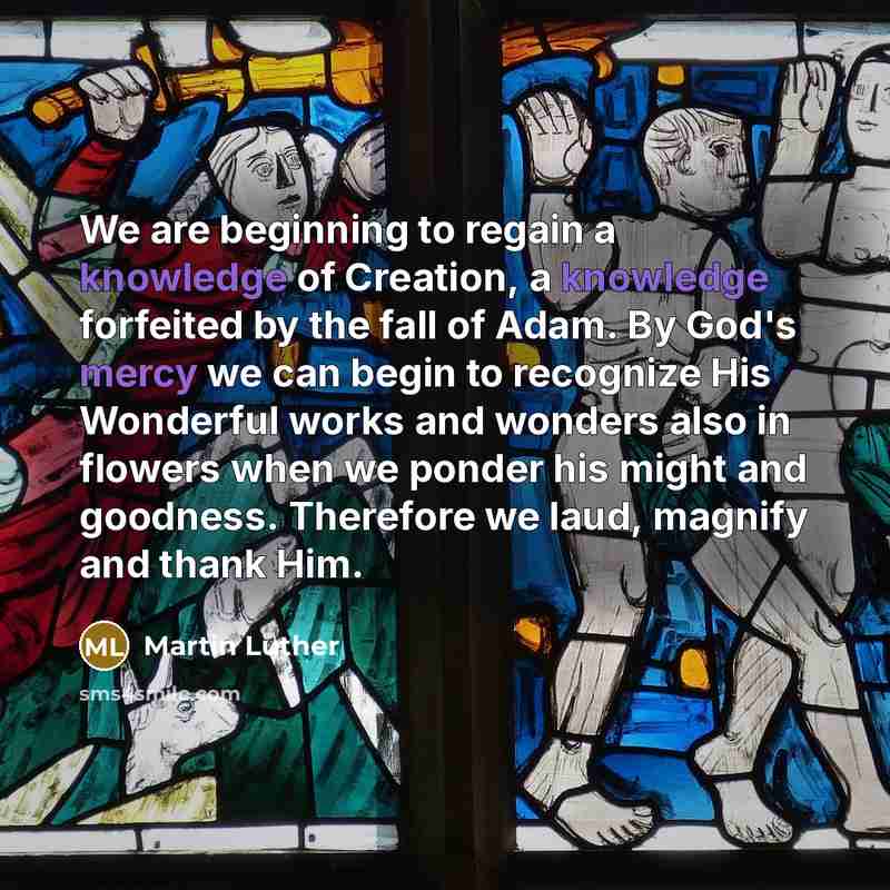 “We are beginning to regain a knowledge of Creation, a knowledge forfeited by the fall of Adam. By God's mercy we can begin to recognize His Wonderful works and wonders also in flowers when we ponder his might and goodness. Therefore we laud, magnify and thank Him.” quote by Martin Luther
